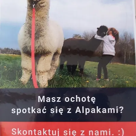 Smaczek